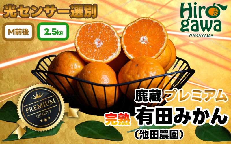 
            鹿蔵 プレミアム 有田みかん ( 完熟 ) 2.5kg+250g（傷み補償分） 光センサー 選果　※北海道・沖縄・離島への配送不可/ 温州みかん 痛み補償 果物 フルーツ くだもの 訳アリみかん 訳あり フルーツ 柑橘 蜜柑 mikan 産地直送 数量限定 国産 和歌山【ikd004-prem-2d5A】
          
