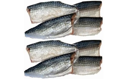 塩さばフィレ14枚入（真空パック入）【uot403-1】