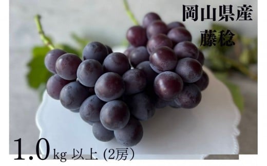 
            厳選 藤稔 1.0kg以上 2房 朝採れ ぶどう 葡萄  Kawahara Green Farm　岡山県産　2026年
          