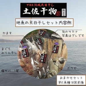 M215 冷蔵！天日干し 手作り干物詰め合わせ地魚セット 無添加土佐干物 期間限定品