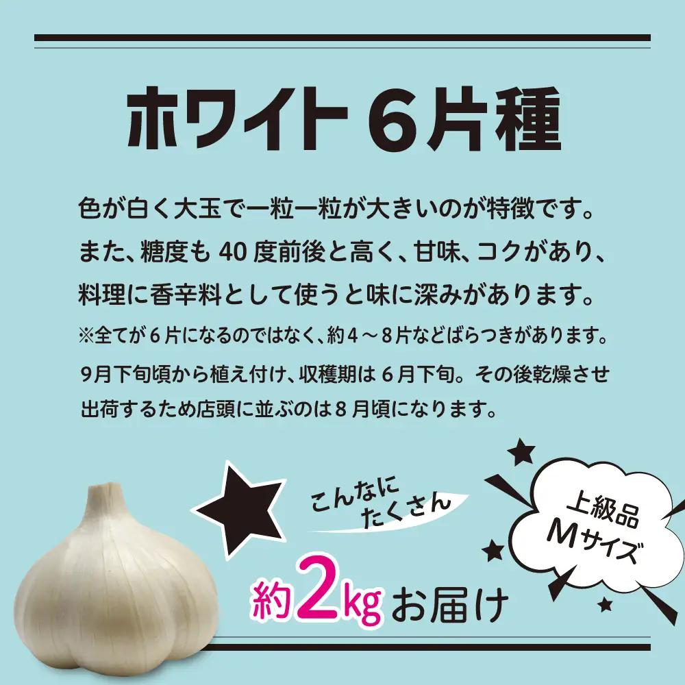【8月上旬より順次発送】 青森県産にんにく 【上級品】 Mサイズ 2kg ホワイト六片 にんにく