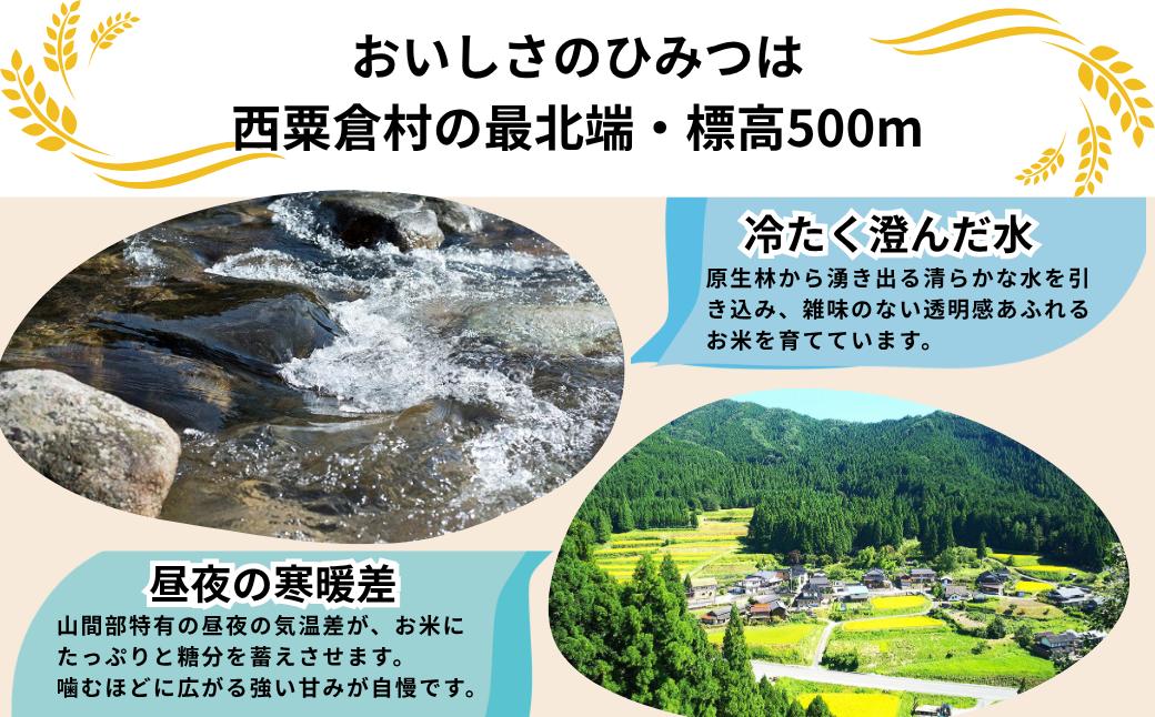 《先行予約 2026年10月発送》【3回定期便】白米 5kg 令和8年産 あきたこまち 岡山 「おおがや 芝桜米」 G-bf-BFCA