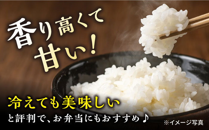 長崎県産 ヒノヒカリ 約10kg(5kg×2袋) 大村市 かとりストアー [ACAN009]