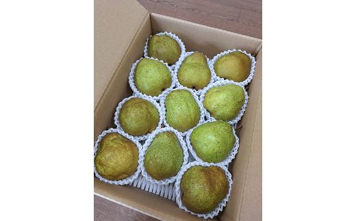 【令和7年産先行予約】 〈訳あり品 家庭用〉 ラ・フランス 約3kg (9～13玉) 《令和7年11月中旬～発送》 『カネタ高橋青果』 ラフランス 果物 フルーツ 山形県 南陽市 [2274]