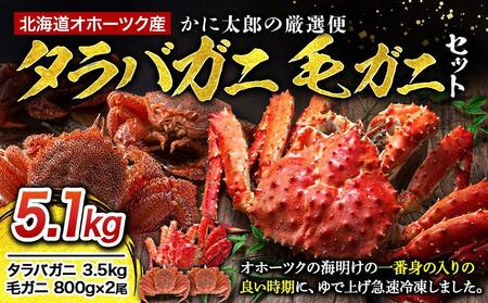 かに太郎の厳選便　タラバガニ3.5kg　毛ガニ800g×２  | 毛ガニ 毛ガニ 毛ガニ 毛ガニ 毛ガニ かに かに かに かに かに _03506