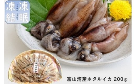 鮮度そのまま！富山湾の神秘ホタルイカ生冷200g 〈冷凍〉｜　富山湾 珍味 海鮮 刺身 しゃぶしゃぶ 富山 氷見 富山県産 ほたるいか 冷凍 凍眠凍結 おつまみ 酒の肴 お取り寄せ グルメ