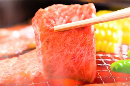 【先行受付 R6年12月中旬より発送】艶さし！【A4～A5】佐賀牛焼肉用 1kg(500g×2P)【肉 牛肉 ブランド牛 黒毛和牛 ふるさと納税】(H112112)