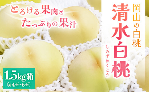 
【2024年7月下旬より発送】とろける果肉とたっぷりの果汁の岡山の白桃・清水白桃(1.5kg箱) TY0-0591
