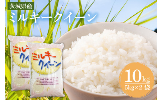 茨城県産ミルキークイーン 10kg (5kg×2袋) 【米 お米 白米 精米  おにぎり 茨城県産 鹿嶋市 国産 送料無料】 (KY-2)