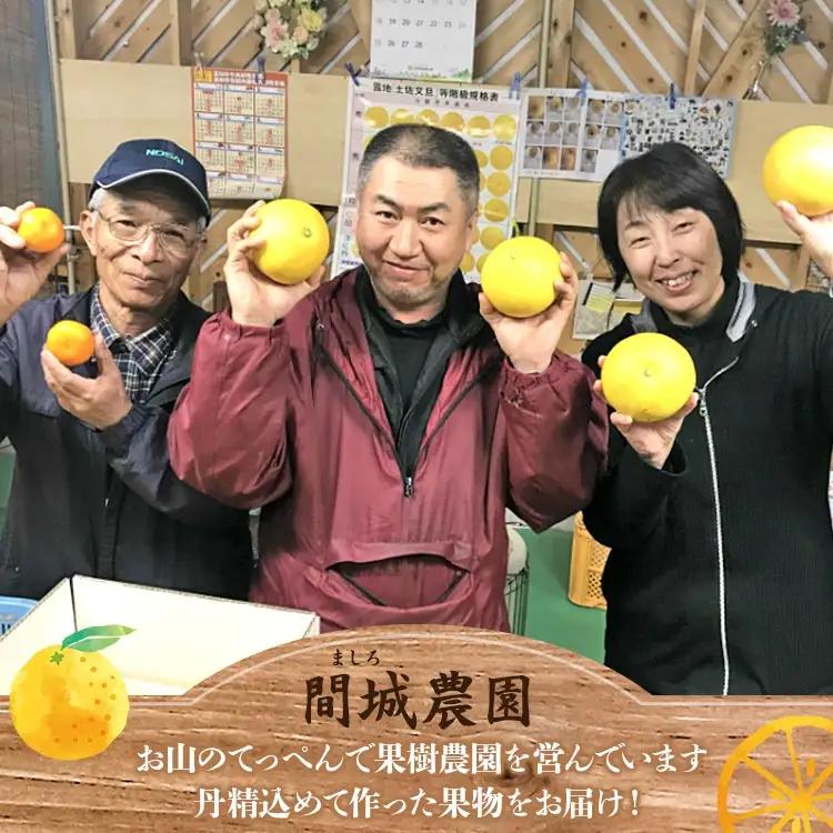 文旦 約3kg（2L～4Lサイズ） 間城農園 文旦 ms-0090
