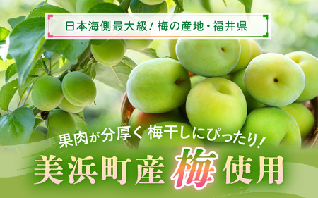 【へしこの町】 福井 梅干し 300g × 1個 ＆ 美浜産 へしこ × 2本 Cセット【鯖 サバ さば うめぼし 自家製】 [m20-a010]