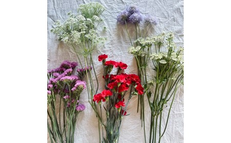 <選べる配送月> 北海道 花 詰め合わせ 4品種 20本以上 切り花 切花 花束 ブーケ 季節 旬 生花 フラワー アレンジメント 記念日 産地直送 つきがたふるさと花の会 送料無料 2024年6月お