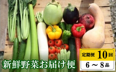 10回定期便 旬野菜 6～8品 詰め合わせ 【 野菜 やさい 野菜セット 野菜 野菜定期便 定期便 人気 野菜 野菜詰め合わせ 定期便 】