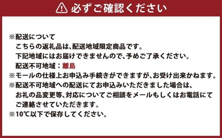 泉州蕎麦 阪南地産 十割蕎麦（春のいぶき） つゆ付き2人前（100g×2袋）【順次発送】 泉州 蕎麦 そば ソバ 年越し蕎麦 年越し 年越しそば 年越しソバ 2人前 100g 2袋 泉州産 国産 大晦
