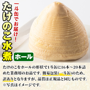 【ふるなび限定】＜訳あり・業務用＞数量限定！1斗缶たけのこ水煮ホール2L(16本～20本) 国産 九州産 鹿児島県産 筍 竹の子 水煮 簡易包装 酢豚 筑前煮 若竹煮 天ぷら チンジャオロース たけの