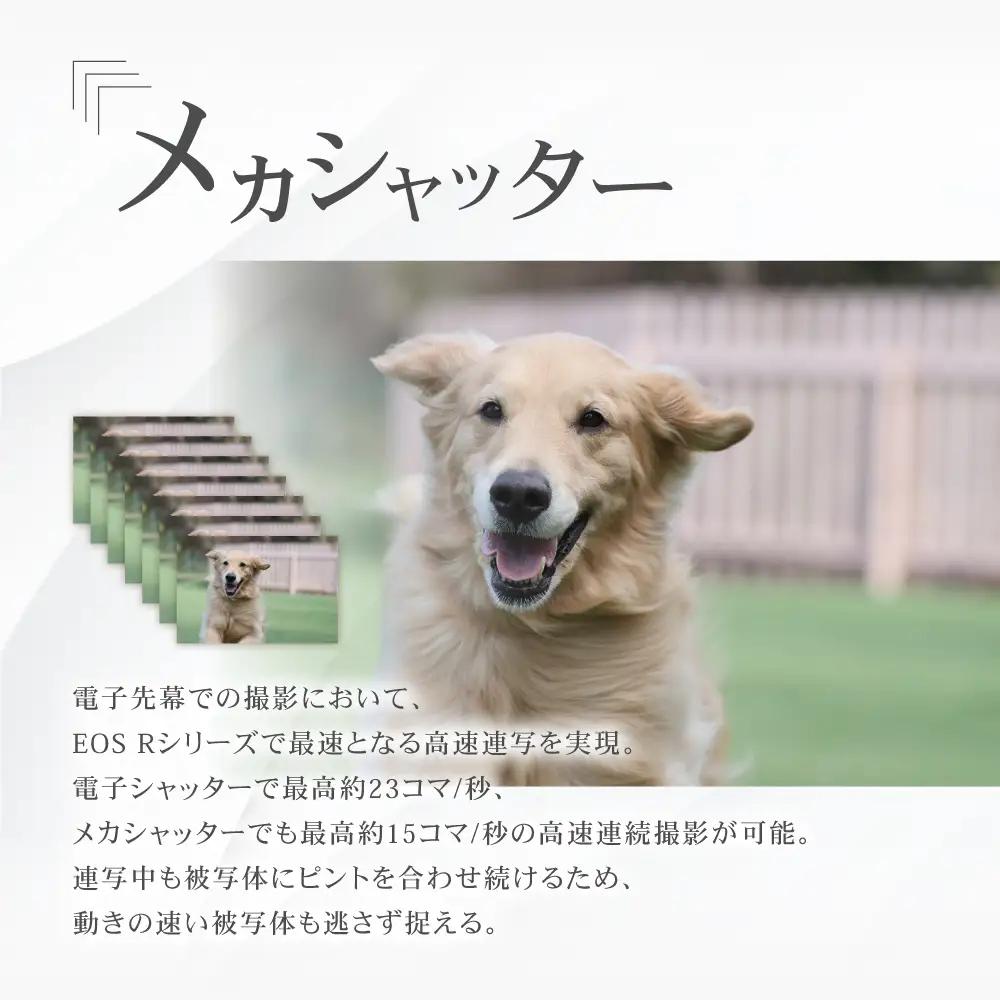 【スピード発送】Canon カメラ EOS R10 レンズキット[MA16] ミラーレスカメラ