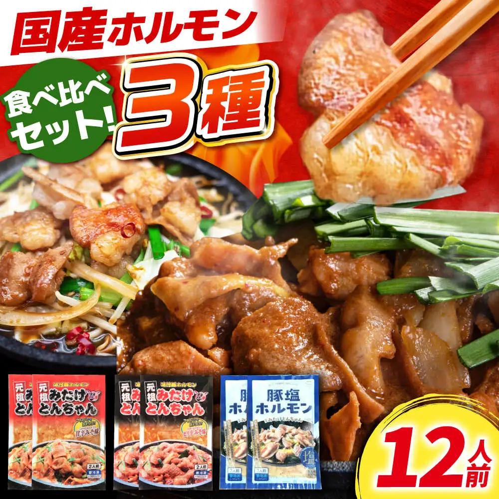「元祖みたけとんちゃん」 3種セット（12人前）[AVAA057]ホルモン 食べ比べ