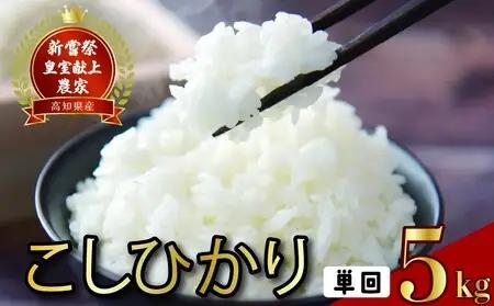 こしひかり 米 5kg 令和8年産【こしひかり】