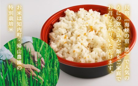 うに 知内町のおいしさたっぷり！うにの炊き込みごはん ～ 雲丹まんま ～ ×3＜海峡の宿 然＞