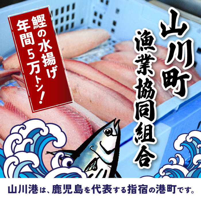 6種のすり身 300g×各1本(計1.8kg)セット(山川町漁協/010-1204) すりみ スリミ 魚 魚惣菜 さかな 魚介 海鮮 さつまあげ さつま揚げ そうざい 冷凍 味付き しいら シイラ 甘