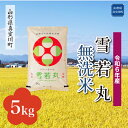 【ふるさと納税】＜配送時期が選べて便利＞ 令和6年産 真室川町 雪若丸 ［無洗米］ 5kg（5kg×1袋）