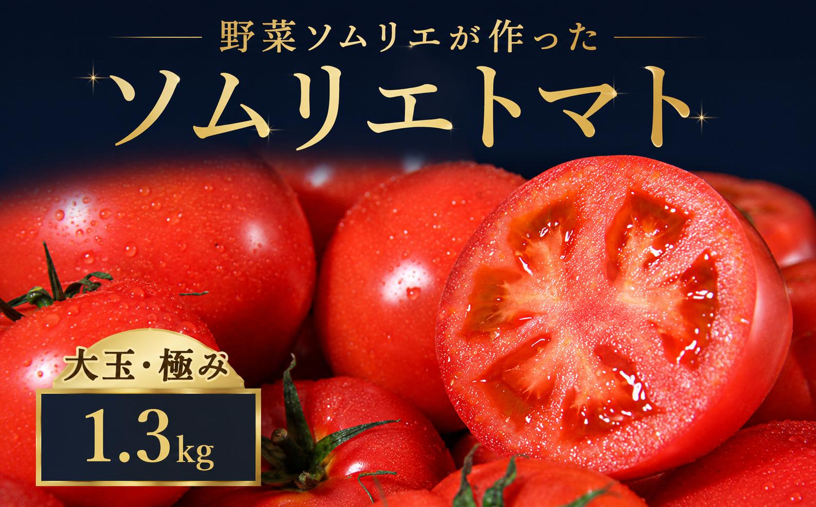 
                  【特別栽培農産物】ソムリエトマト 1.3kg | 贈答用 野菜 やさい とまと 野菜ソムリエ 畑の宝石 熊本県 玉名市
                