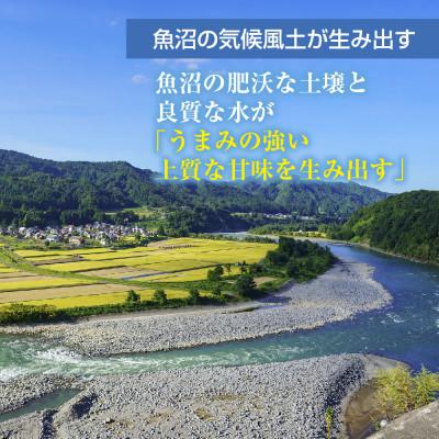 ふるさと納税 十日町市 【令和7年産】 魚沼産 川西 こしひかり 8kg 精米 新潟県産 お米 産地直送 十日町 |  | 02
