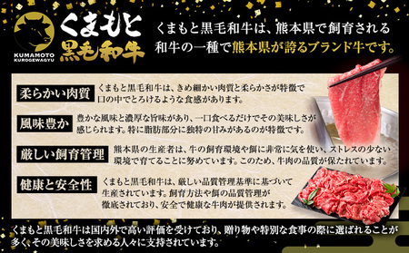 くまもと黒毛和牛 ウデ・モモスライス 500g (500g×1) 牛肉 冷凍 《30日以内に出荷予定(土日祝除く)》 くまもと黒毛和牛 黒毛和牛 牛肉 肉 冷凍 個別 取分け 小分け 個包装 モモ ス
