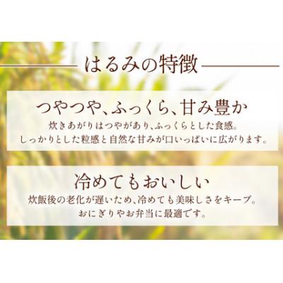 ふるさと納税 伊勢原市 [令和8年産新米 10月下旬から出荷]伊勢原産精米10kg はるみ 農家直送!加藤さんちの米 |  | 01