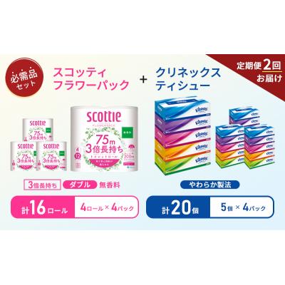 ふるさと納税 岩沼市 【6ヶ月ごと計2回お届け】ティッシュ+トイレットペーパー無香料4P[No.5704-1785] |  | 01