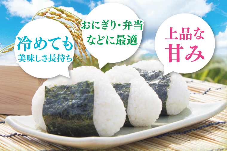 【数量限定】【10月より発送】【令和7年産】【６ヵ月定期便】美味追求 茨城県産こしひかり 5kg×6 【定期便 お米 ごはん こしひかり 精米 おにぎり ごはん 茨城県 水戸市 30キロ】(NA-3)