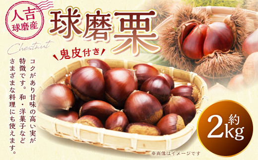 球磨栗（鬼皮付き） 2kg【2026年9月下旬-10月下旬発送予定】 栗 和栗 果物 フルーツ お菓子 おつまみ 秋 国産 熊本県 湯前町