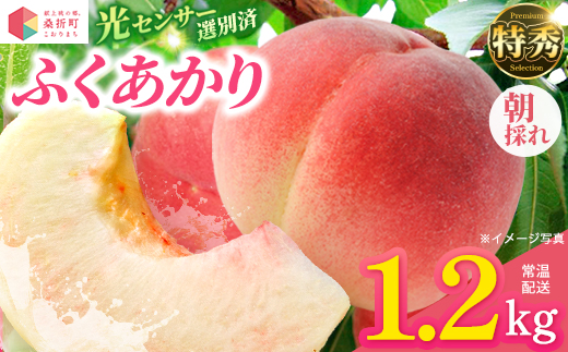 もも【ふくあかり・2027年産先行予約】特秀1.2kg　桑折町産　JAふくしま未来　桃 ／ もも モモ 果物 フルーツ 旬 甘い 甘み ジューシー 果肉 果汁 新鮮 フレッシュ デザート おいしい 産