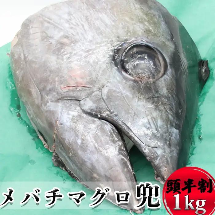 メバチマグロ兜 頭半割1個分（1kg） 1/4カット×2個 [0015-0069]
