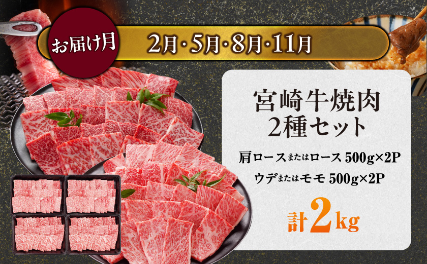 ≪3回連続お届け≫とにかくお肉大好き!宮崎牛と宮崎県産豚定期便L(総重量8.2kg)_T84-3-N201
