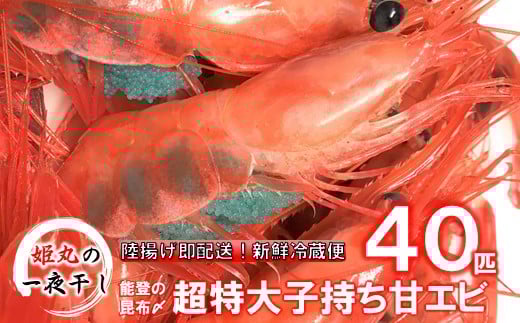 2026年 1月 - 6月 発送 真空 獲れたて 子持ち 特大 甘エビ 殻付き 丸ごと 昆布〆 冷蔵 40匹 生食 刺身 天ぷら 素揚げ 揚げ焼き 味噌汁 にも 日本海 新鮮 厳選 大きい あまえび 有頭 エビ こだわり 昆布締め 昆布 包み 繊細な 旨味 甘い 鮮度抜群 濃厚 ミソ 海の幸 海鮮 魚介類 卵 抱卵 令和8年発送 北陸 石川 能登 羽咋 姫丸 姫丸の一夜干し
