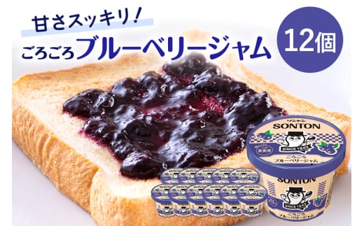ソントン ファミリーカップ ごろごろブルーベリージャム 130g×12個入 (G16-002)