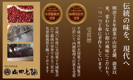 昔ながらの小城羊羹　8個入×6袋セット 山田老舗 和菓子 詰め合わせ（白練・抹茶・紅練・小倉） 切羊羹 表面シャリシャリ 羊羹小分け ゆうパケット便【A080-038】