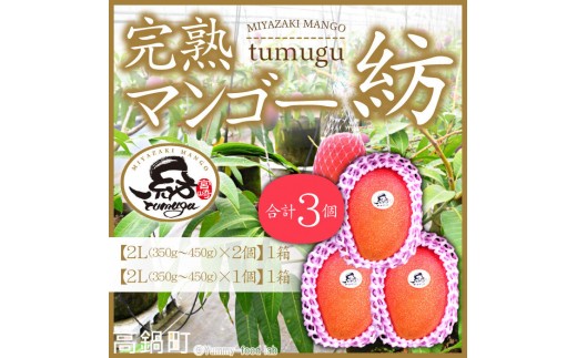 
                  【先行予約】＜宮崎県産 完熟マンゴー｢紡｣（2Lサイズ3個）＞果物 フルーツ マンゴー くだもの 特産品 完熟 国産 宮崎県 高鍋町
                