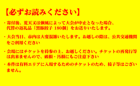 【100名限定！！第42回関門海峡花火大会（令和8年8月13日開催）】一般エリア入場チケット 1名様 花火大会 KR