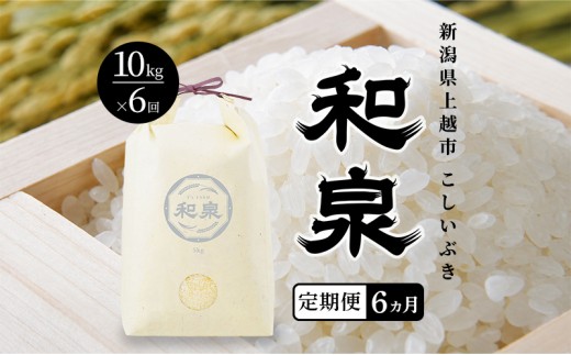 先行予約 新米 定期便6ヶ月配送 令和8年 新潟県 上越産 こしいぶき 10kg （5kg×2袋）×6回 和泉 ワイズファーム 上越市 精米 米 ギフト 喜ばれる