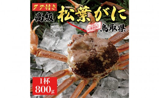 
                  【2026年11月発送】特撰 松葉がに（なま）【ブランドタグ付き】800g超の大きいサイズ 食べ応えあり 特大1杯
                
