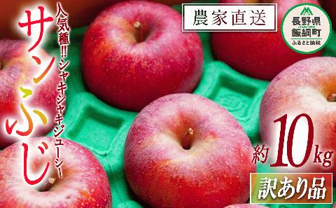 りんご サンふじ 訳あり 10kg ファームたんぽぽ 沖縄県への配送不可  2024年12月上旬頃から2024年12月下旬頃まで順次発送予定 令和6年度収穫分 除草剤不使用 長野県 飯綱町 [0554]