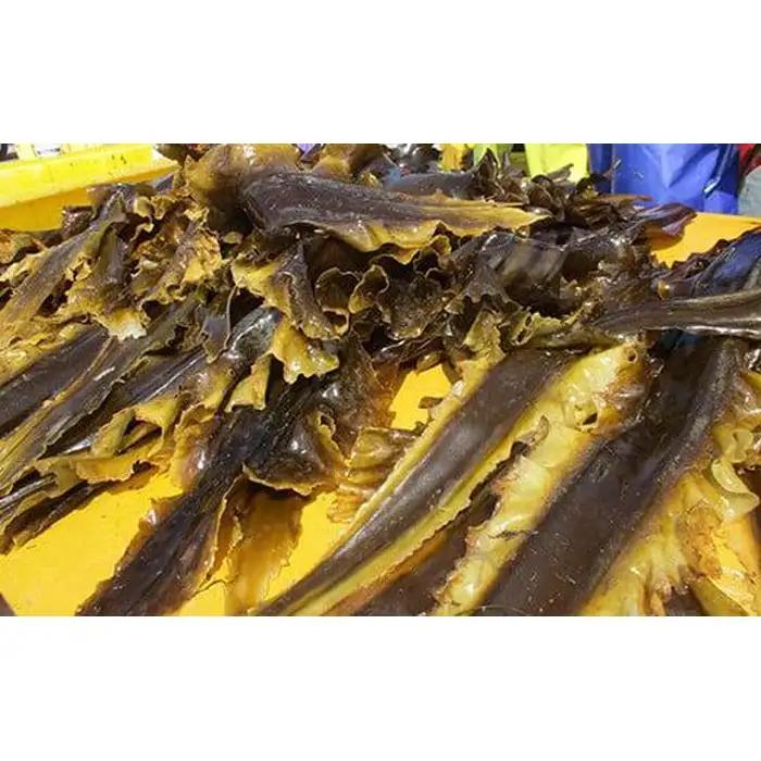 羅臼昆布 だし用10袋セット(40g×10袋) 小分け 便利 出汁 小分け 知床 北海道