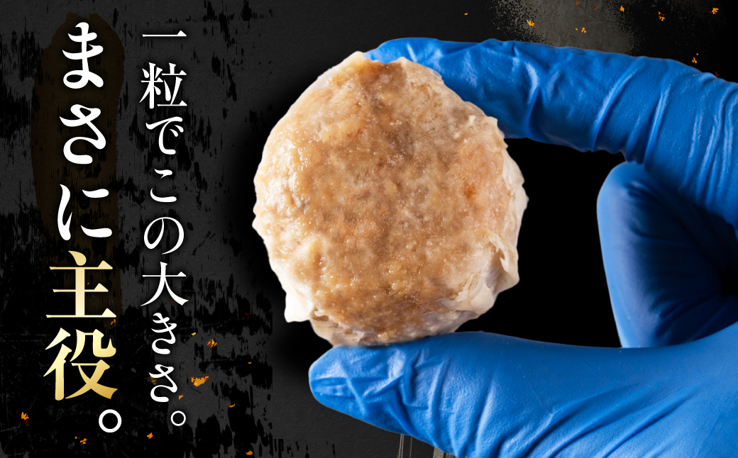 生餃子専門店「新家」の大きな「しゅうまい」　３種類セット（計25個）