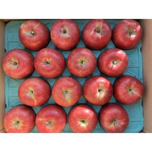 シャキシャキッ!完熟サンふじ 贈答用 約5kg【1558028】