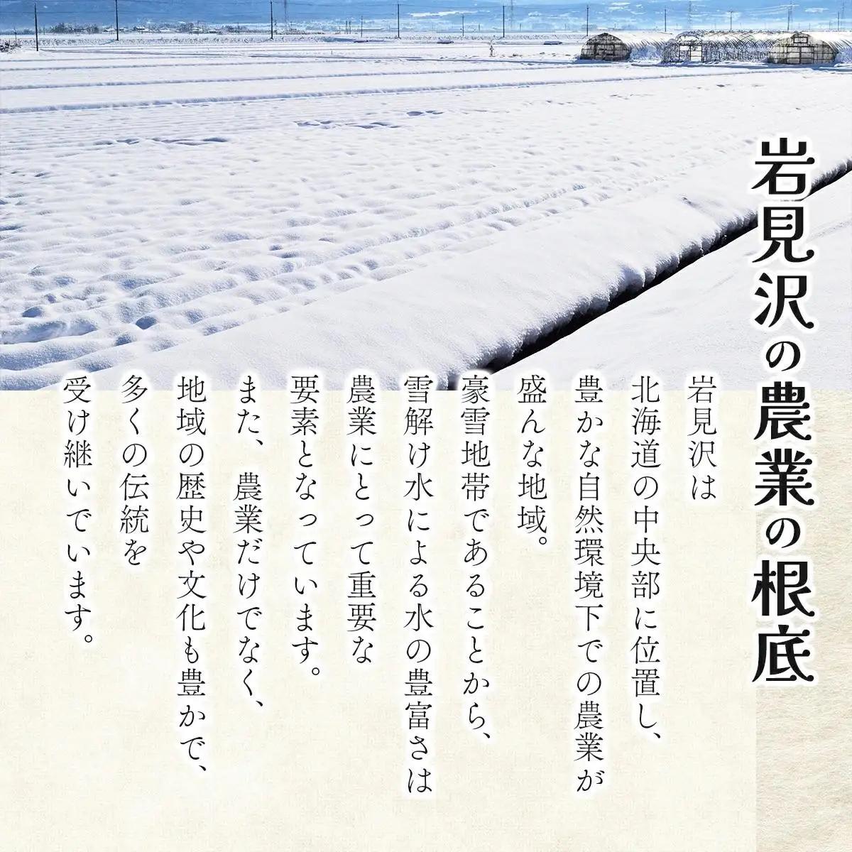 《令和7年産！》『100%自家生産玄米』善生さんの自慢の米 玄米ななつぼし 10kg※一括発送 a104-116