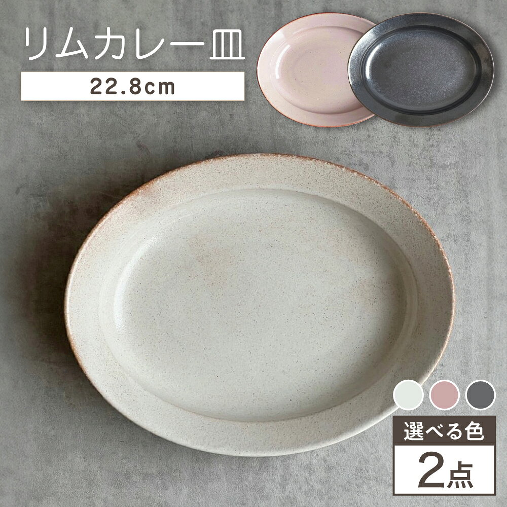 【ふるさと納税】【選べる3色】【瀬戸焼】リムカレー皿 2枚セット【株式会社カネ三商店】 / 皿 食器 カレー皿 ギフト プレゼント / 瀬戸市[BBDD012]