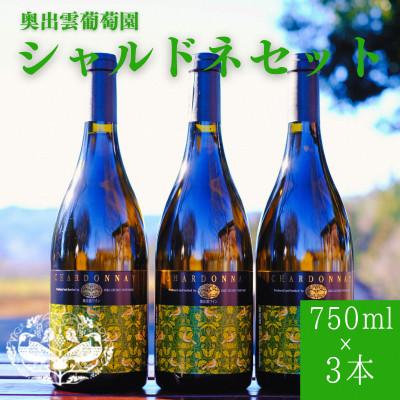 ふるさと納税 雲南市 シャルドネ(白ワイン)750ml×3本セット 辛口