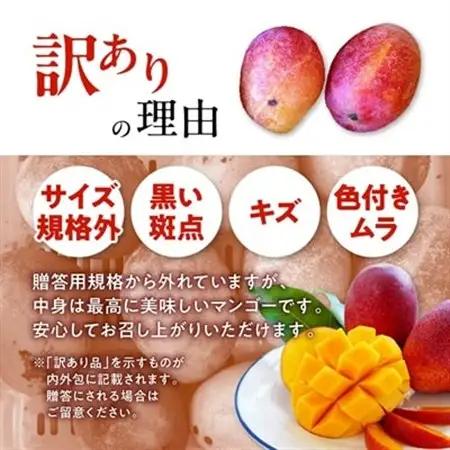 【2026年7月から順次発送・訳あり】燦々マンゴー1.5kg(3～6玉)_マンゴー_【1619685】